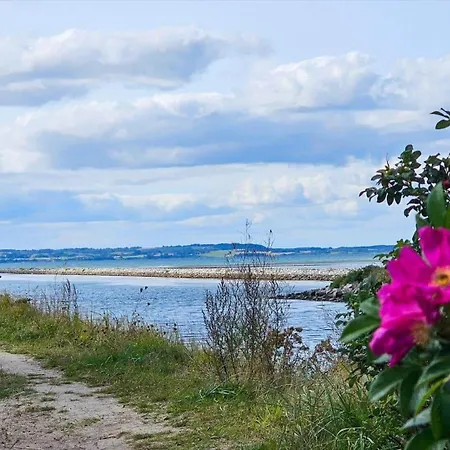 84516-ebeltoft-laerkevaenget-24 エーベルトフト